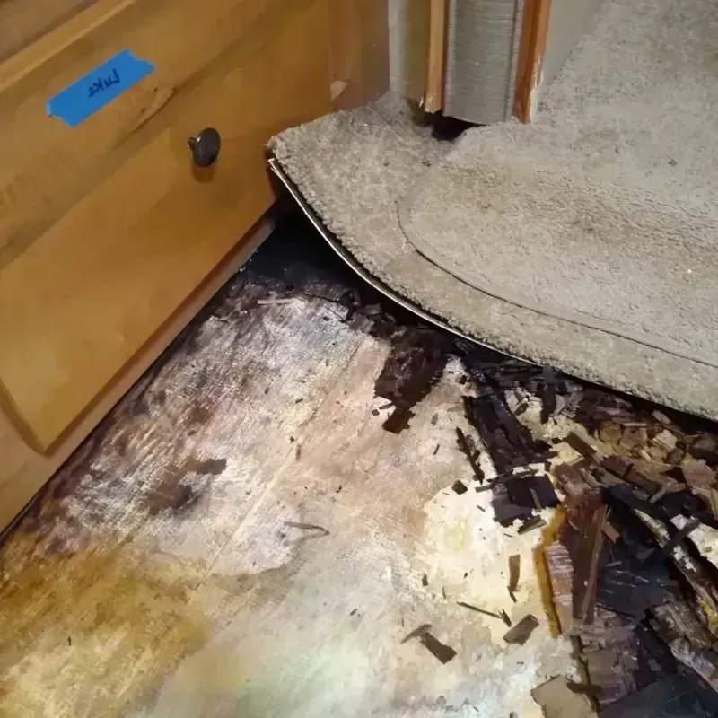 Wood Floor Water Damage in Ventura County, CA